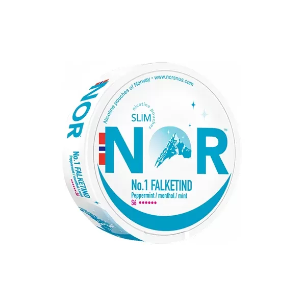 20 mg NOR Slim Falketind Premium-Nikotinbeutel – 20 diskrete Beutel - Vape Store
