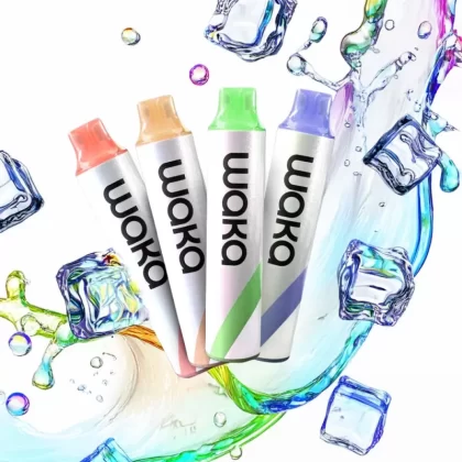Waka GO 10000 - Mango Lychee