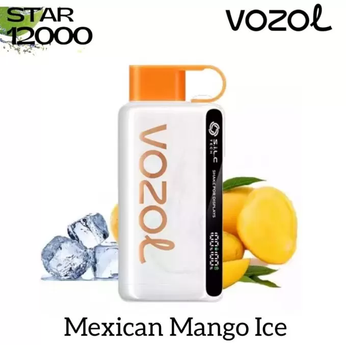 Vozol Star 12K Rechargeable Disposable Vape (12,000 Puffs) - Strawberry Raspberry Cherry / 50 mg - Image 2
