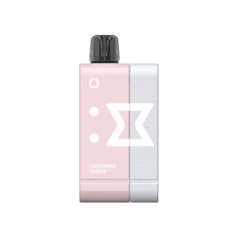 Off-Stamp SW9000 Rechargeable Disposable KIT - 9000 Puffs - Miami Mint - Image 3