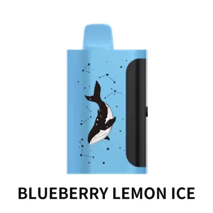 PICCO STAR 40000 Puffs – Blueberry Lemon Ice - Ozvapeone
