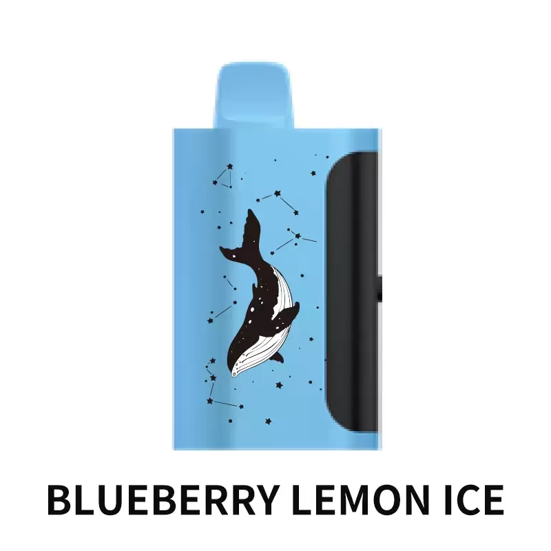 PICCO STAR 40000 Puffs – Blueberry Lemon Ice - Ozvapeone
