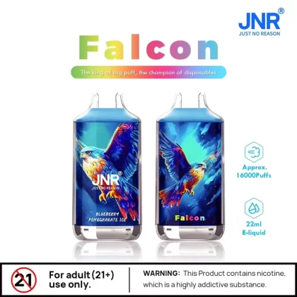 JNR Falcon X 18000 Puff Prefilled Vape Pod Kit – Box of 10