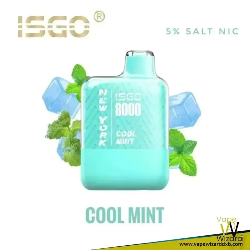 Isgo New York 8000 Puffs Rechargeable Disposable Vape - Vapewizarddxb - Image 3