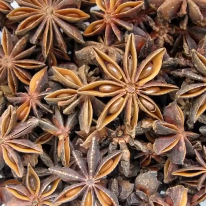 Aniseed