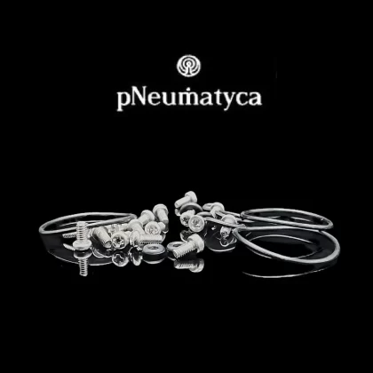 pNeumatyca RTA Spare Parts Kit – SightPic