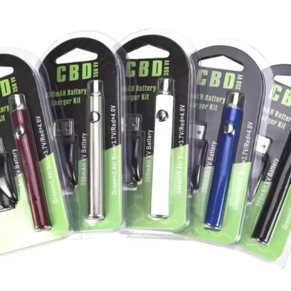 Variable Voltage 350mAh Mini Vape Pen Battery & USB Charger Kit - Silver