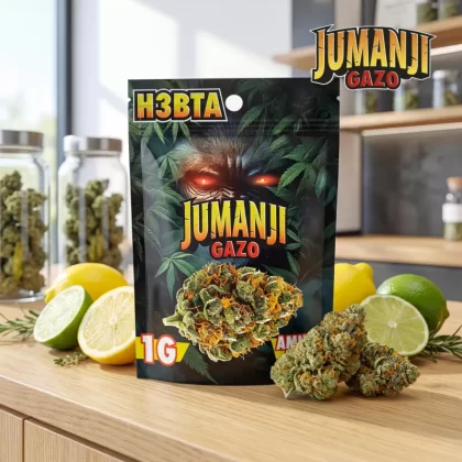 Gzuz Jumanji H3BTA - Vapesonline
