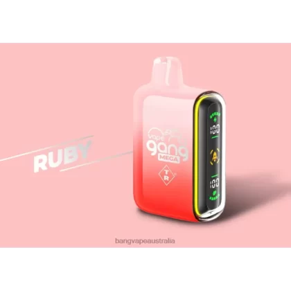 Vape Gang MEGA 20,000 puffs Disposable Vape (Box of 5) 6006N58 Ruby – Vape Gang Shop - Bangvapeaustralia