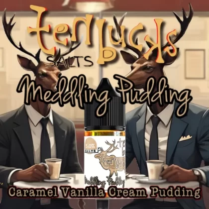 Ten Buck Juice Salts – Meddling Pudding Flavored Synthetic Salts Nicotine Solution
