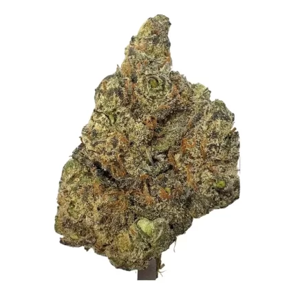 Grape Pie – Indica (Exotic) 3.5g