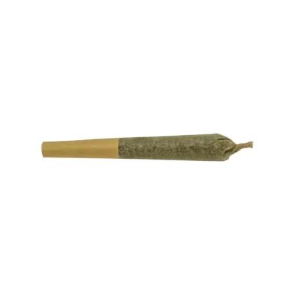 Twd. Blue Dream Sativa