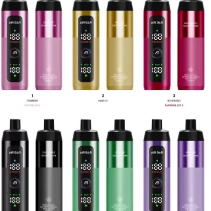 Air Bar - E-Shisha Rechargeable Disposable Vape 15,000 Puffs - 3 mg / Grape Mint
