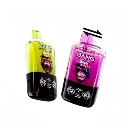 Bang Leader 120k Vape Double Flavors OLED - Random Flavors(Minimum 2 Pieces), Blue Razz & Love 66; 3-nicotine, 2-nicotine (4F8CF4)