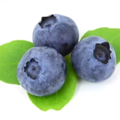 Blueberry E Liquid - Vape Product, Vape Product