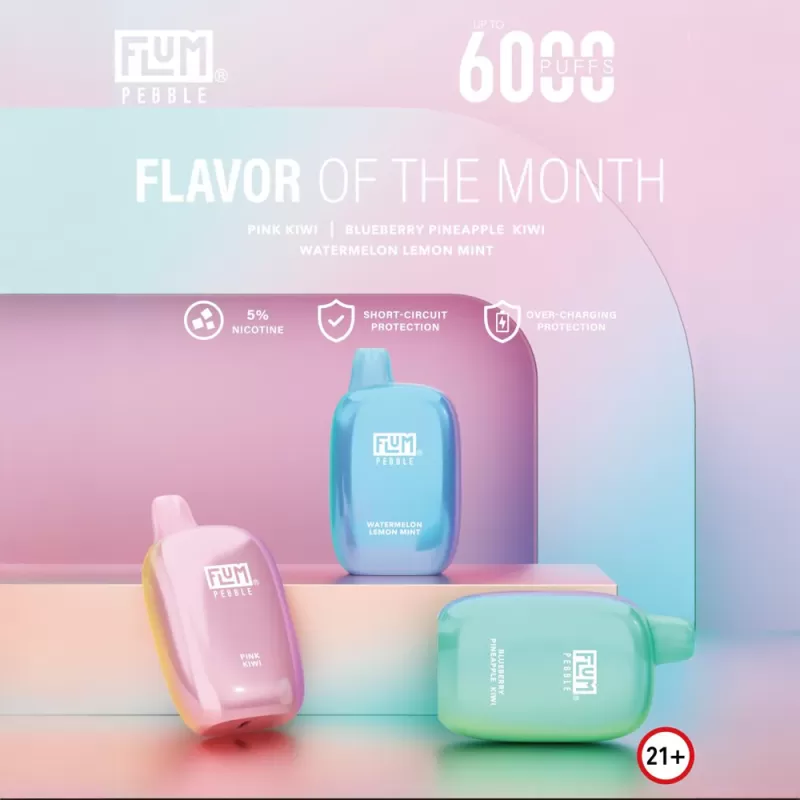 FLUM Pebble 6000 Disposable Device – 6,000 Puffs - Mighty Grapefruit