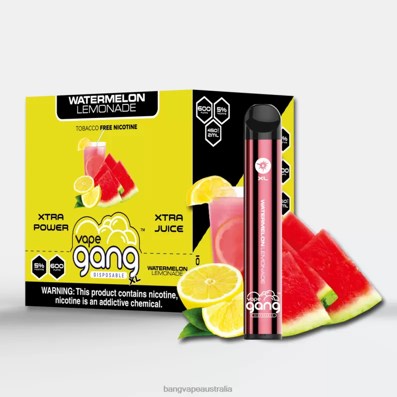 Vape Gang XL Disposable Vapes 600 puffs (Box of 10) 6006N65 Watermelon Lemonade – Vape Gang Disposables - Bangvapeaustralia