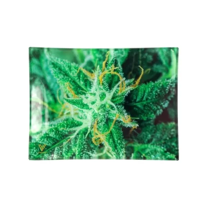 V Syndicate AK-47 Glass Rolling Tray - Length#6.75 Inches>10.5 Inches