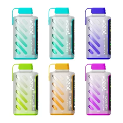 VOZOL Gear Power 20000 Rechargeable Disposable Kit (LED Display) - Mix Berries