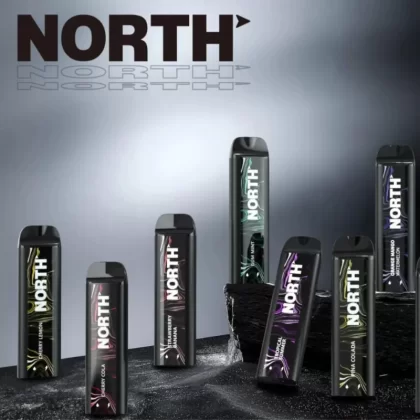 NORTH 5000 Rechargeable Disposable Device – 5000 Puffs - Blueberry Watermelon
