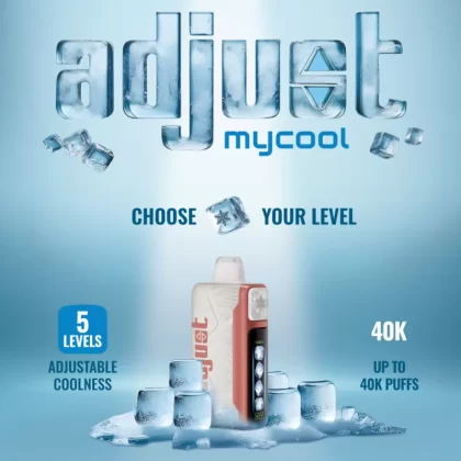 Adjust mycool 40K Disposable Device - 40000 Puffs - Dragon Strawnana
