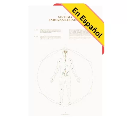 GoldLeaf Mapa de la Sistema Endocannabinoide Impresión - Size#18x24">24x36"~Options#Sólo Impresión>Impresión + Rieles Colgantes de Nogal>Impresión + Rieles Colgantes de Arce>Impresión + Marc