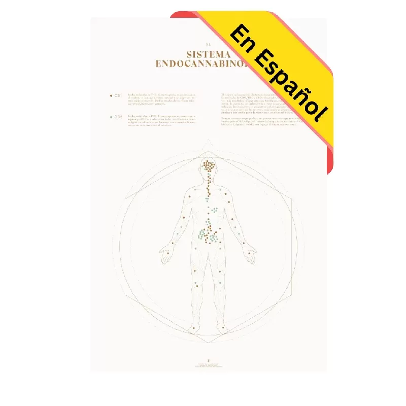 GoldLeaf Mapa de la Sistema Endocannabinoide Impresión - Size#18x24">24x36"~Options#Sólo Impresión>Impresión + Rieles Colgantes de Nogal>Impresión + Rieles Colgantes de Arce>Impresión + Marc