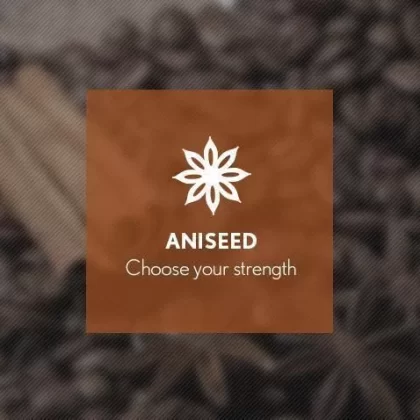 Aniseed By Blast E-Liquid 10ml - 18mg