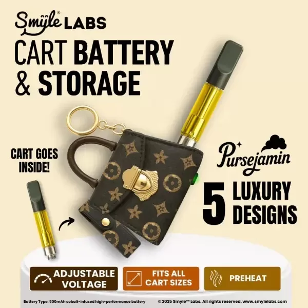 Smyle Labs 510 Purse Battery