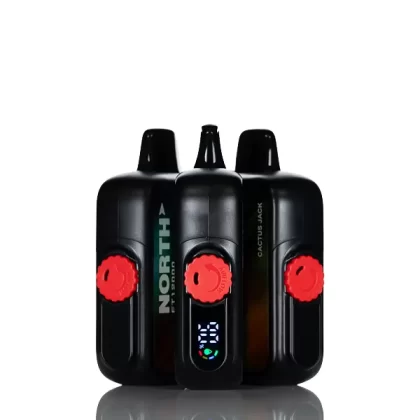 North FT12K 12000 Puffs Disposable Vape - Mango Slushie