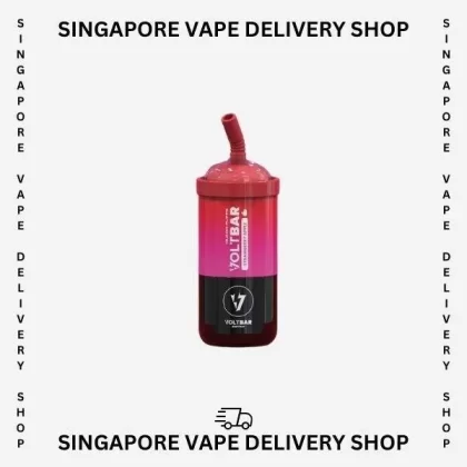 Voltbar Switch 12000 Puffs - Mint Chewing Gum (Kit Set)