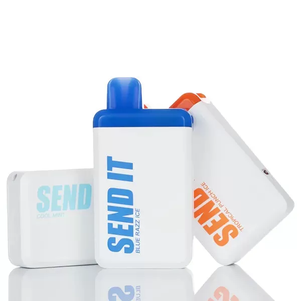 Send It 5000 Puffs Rechargeable Disposable Vape - 12ML (DISCONTINUED) - Mixed Berry Ice