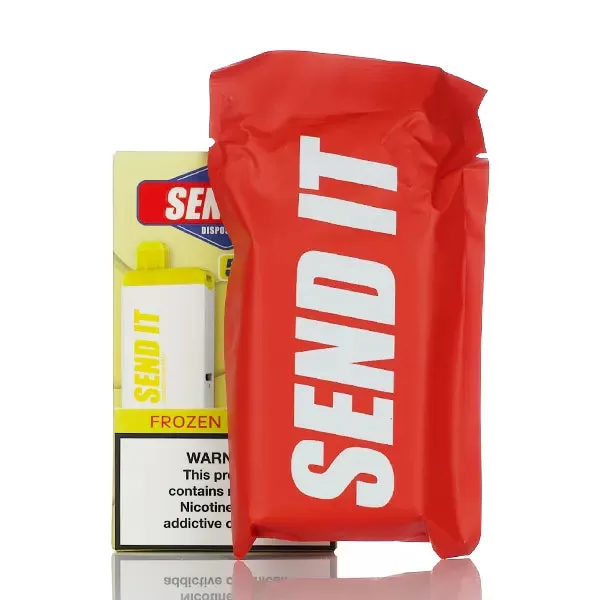 Send It 5000 Puffs Rechargeable Disposable Vape - 12ML (DISCONTINUED) - Mixed Berry Ice - Image 2