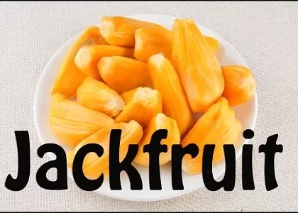 Jackfruit Premium E-Liquid