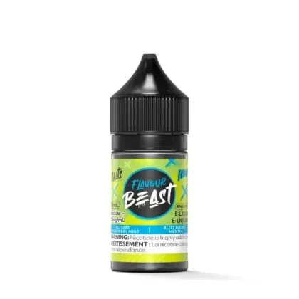 Flavour Beast E-Liquid – Blessed Blueberry Mint Iced – 30 ML - Eliquidsupply