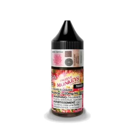 TWELVE MONKEYS SALT 30 ML – PARADISE