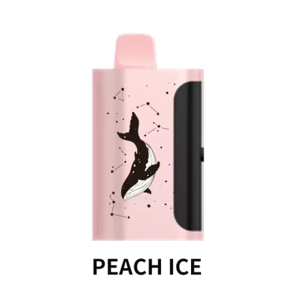PICCO STAR 40000 Puffs – Peach Ice - Ozvapeone (86CD7C)