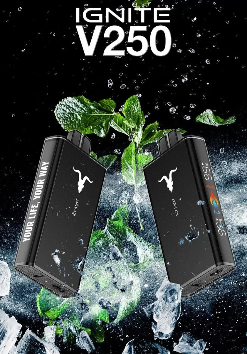 IGNITE - V250 Rechargeable Disposable Vape (25,000 Puffs) - Watermelon Ice / 50 mg - Image 2