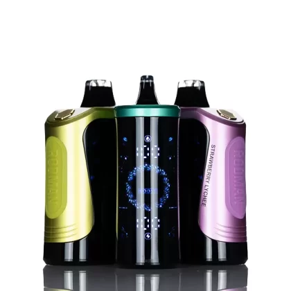 RODMAN MVP 65K 65000 Puffs Disposable Vape - Miami Mint