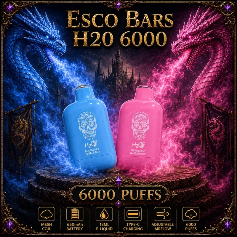 Esco Bars H20 6000 - Vanilla Custard (BLK Series) / Mango Lassi