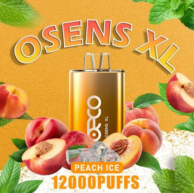 Beco Osens XL Disposable Vape (12,000 Puffs) - 20 mg / Blueberry Raspberry - Image 3