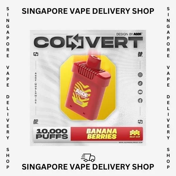 ASDF Convert 10000 Puffs - Fruity Lychee (Kit Set) - Image 3