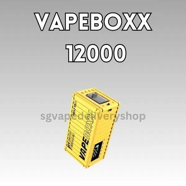 Vapebox 12000 Puffs - Hazelnut Coffee