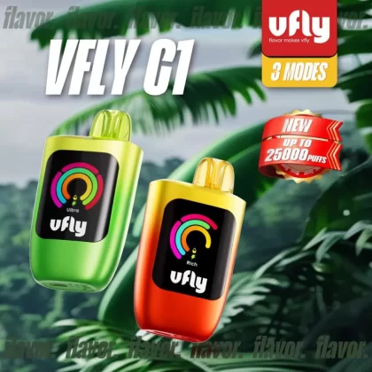 VFLY C1 25K Powered by SKE Disposable Device – 25,000 Puffs - Miami Mint