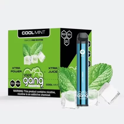 GANG XL COOL MINT