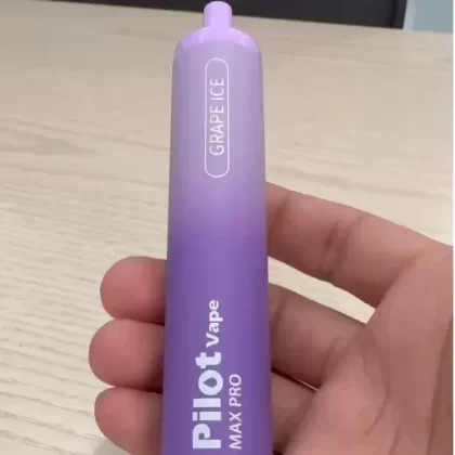 Original Pilot Wanmore 10,000 Puffs Rechargeable Disposable Vape ( Worldwide)