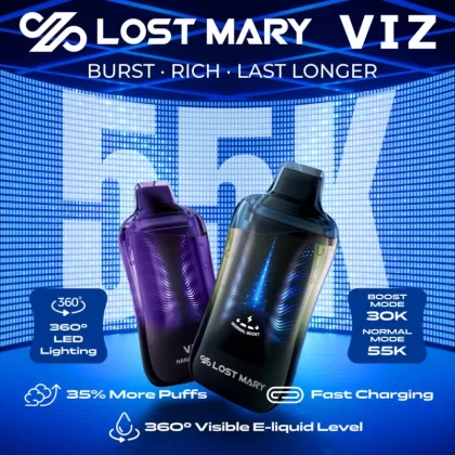 Lost Mary VIZ 55K Puff Disposable Device