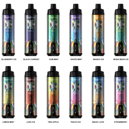 Last Love 20000 Puffs Rechargeable Disposable Kit (EURO2024) - Black Currant