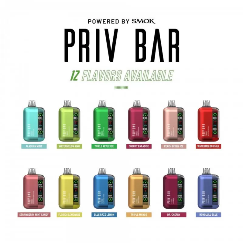 PRIV Bar Turbo 15000 - Blue Razz Watermelon - Vapeciga - Image 3