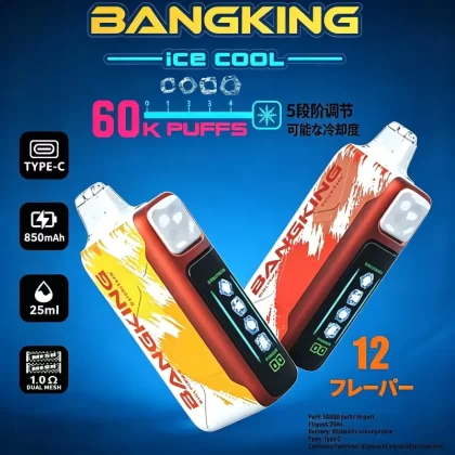 Bang King Ice Cool 60000 60K Puffs Adjustable Ice Level LED Display Disposable Vape Japan warehouse - Vapeq10
